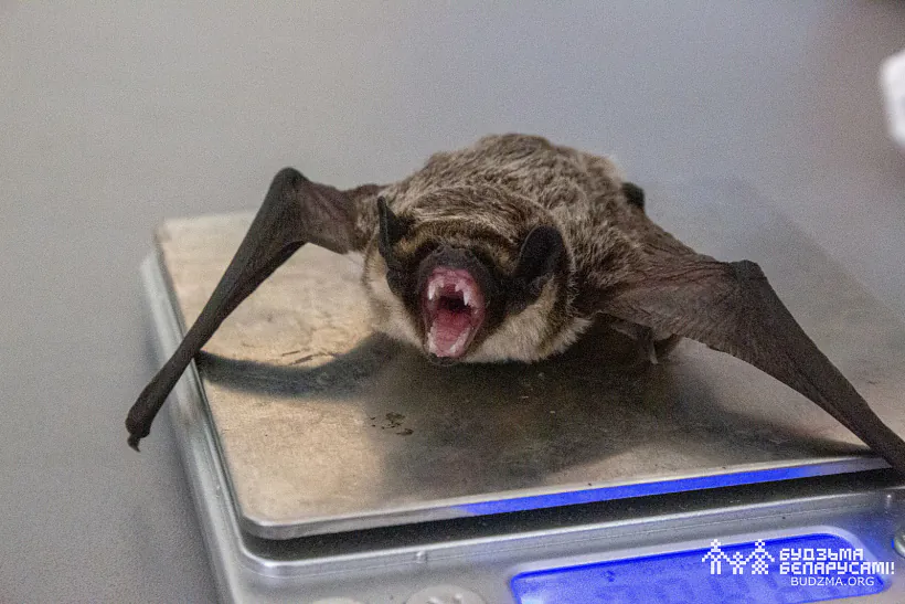 photo (93 of 110).jpg photo (93 of 110).jpg