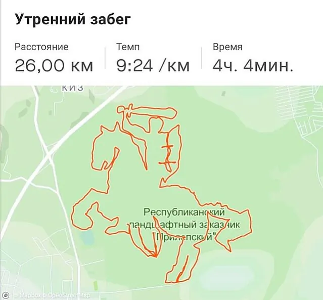 pic1.jpg