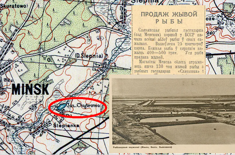 mal__6.png mal__6.png