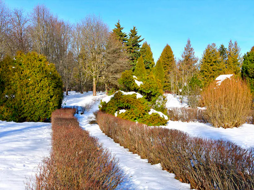 Hlybocki dendralahičny sad