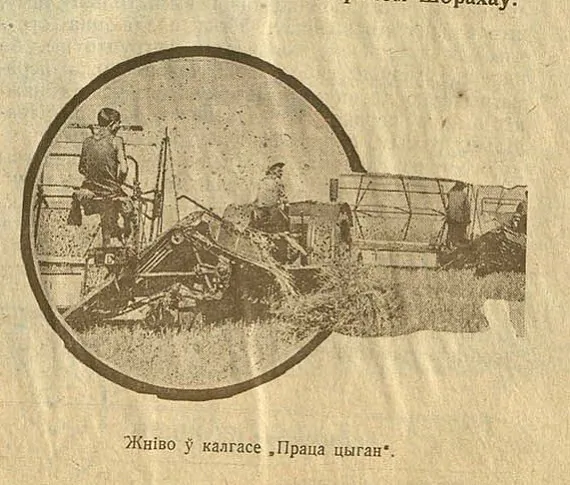 mal_21_cyhanski kalhas.jpg