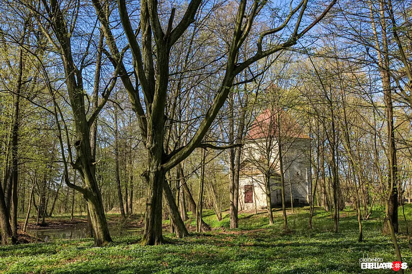 14 dubae-park.jpg Парк у Дубае