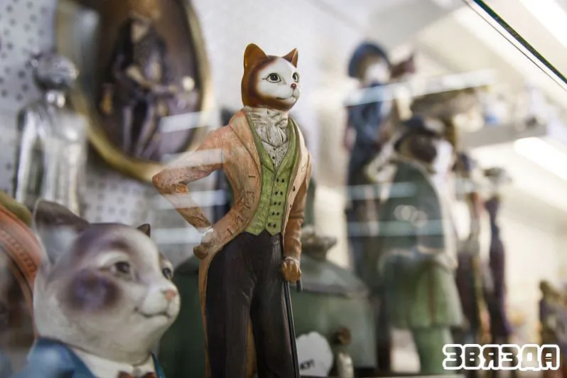 img_7480.jpeg img_7480.jpeg