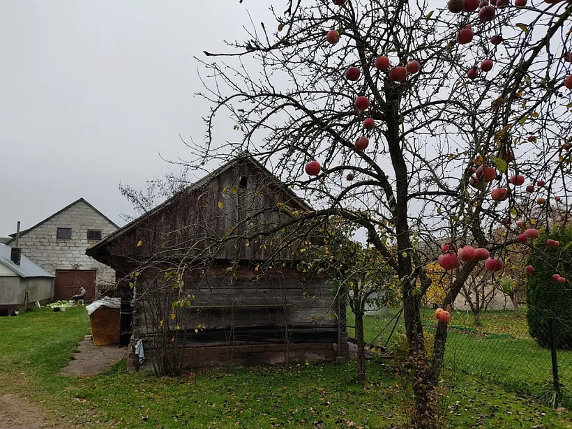 18_2022-10-24_2_Koryciski_A.Leshkevich_010.jpg 18_2022-10-24_2_Koryciski_A.Leshkevich_010.jpg