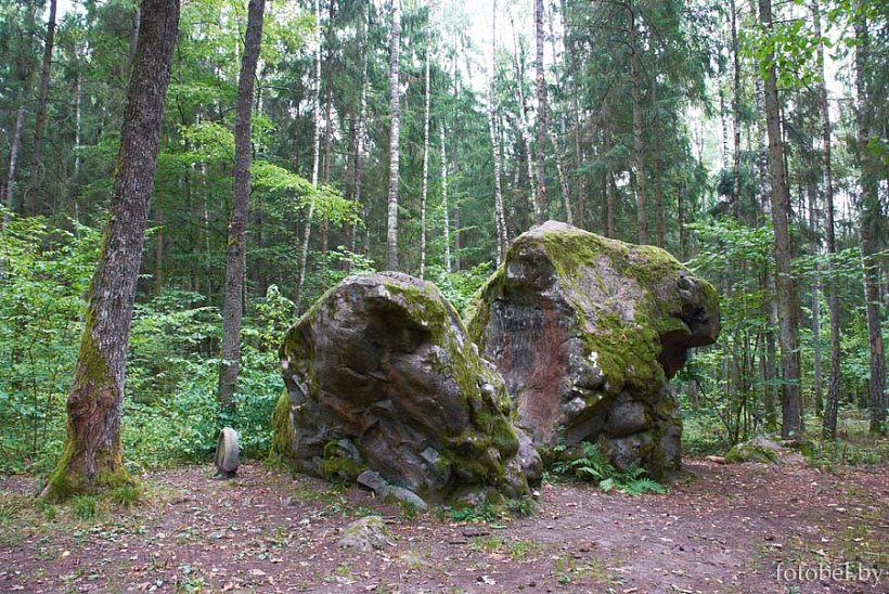 28.jpg 28.jpg