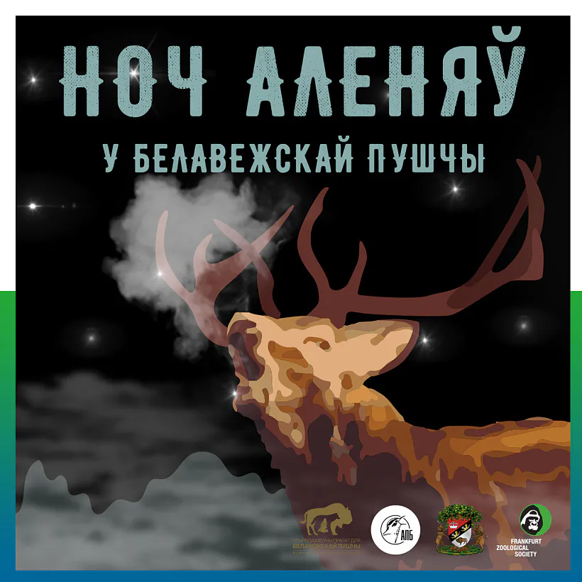 інста Ноч аленяў.jpg