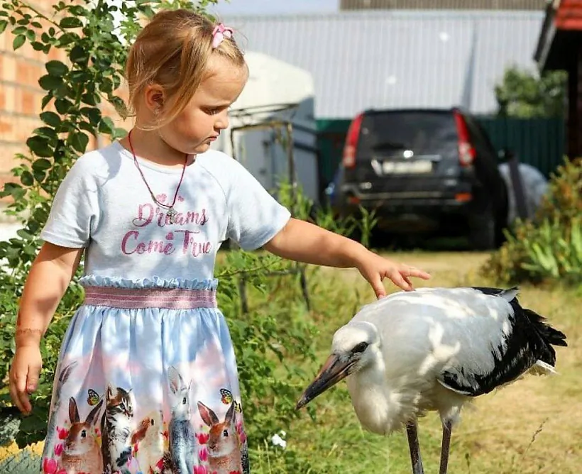 5307c1-1024x834.jpg 5307c1-1024x834.jpg