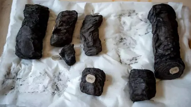 Papirusy Hierkulanuma Papirusy Hierkulanuma