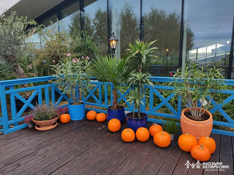 6_2023-10-06_Galeria Polnocna_A.Laszkiewicz_5.jpg 6_2023-10-06_Galeria Polnocna_A.Laszkiewicz_5.jpg