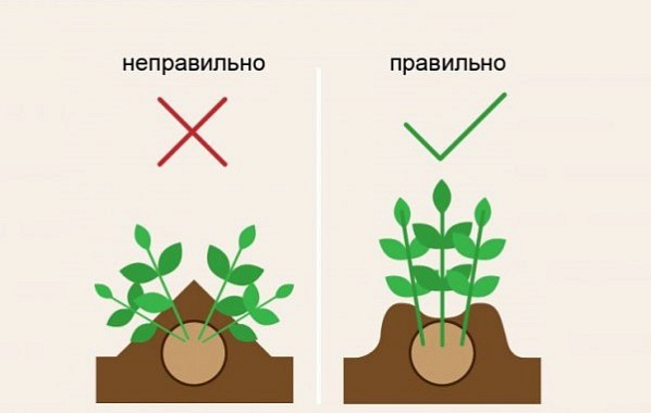 28.jpg 28.jpg