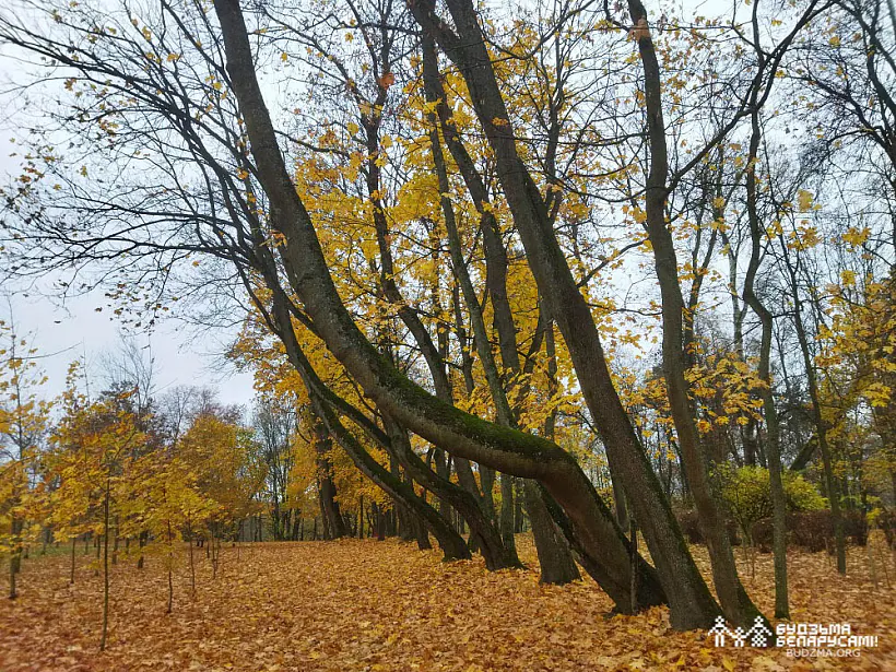 IMG_20221023_123713.jpg IMG_20221023_123713.jpg