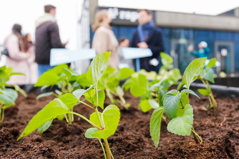 А1гарод (2).jpg А1гарод (2).jpg