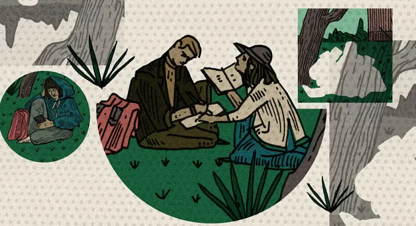 сойка.png сойка.png