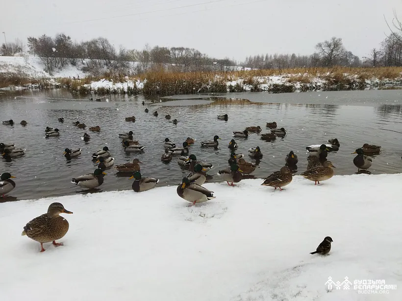 IMG_20221119_154059.jpg IMG_20221119_154059.jpg