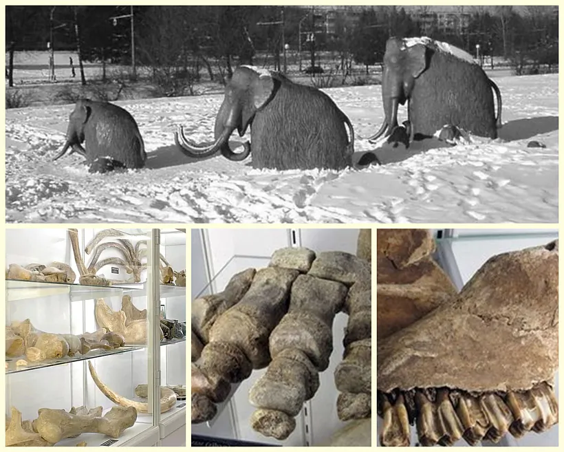 mal_11.jpg mal_11.jpg