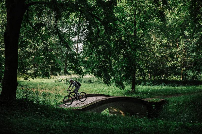 296A2172.jpg 296A2172.jpg