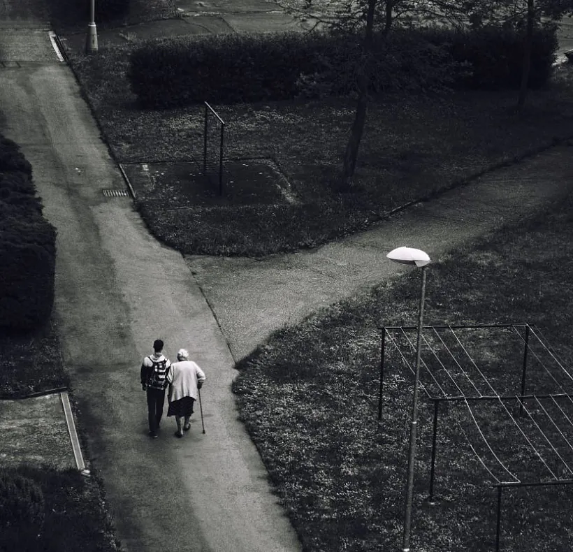 pexels-pixabay-220731.jpg pexels-pixabay-220731.jpg