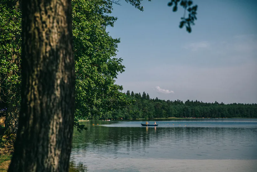 296A9668.jpg 296A9668.jpg