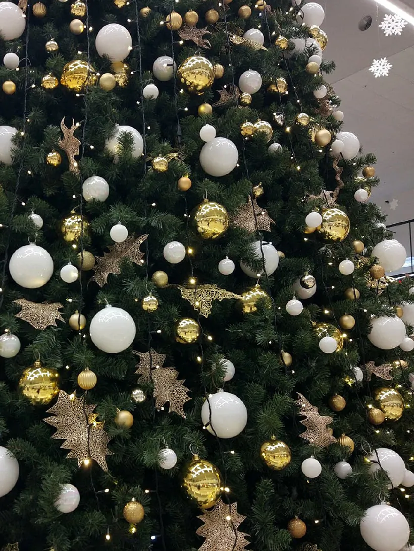 photo_2020-12-25_16-52-54.jpg photo_2020-12-25_16-52-54.jpg