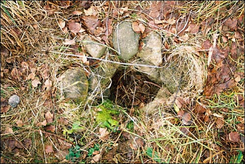 25.jpg 25.jpg