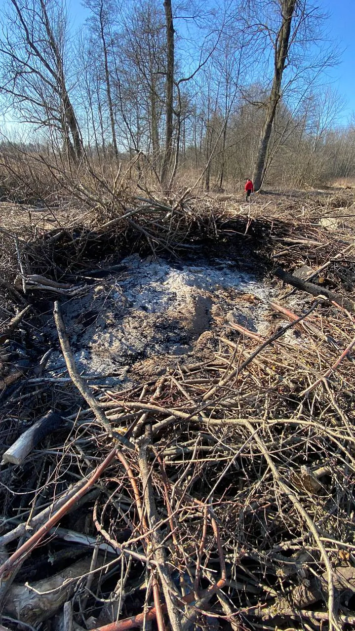 кострище 1.jpg кострище 1.jpg