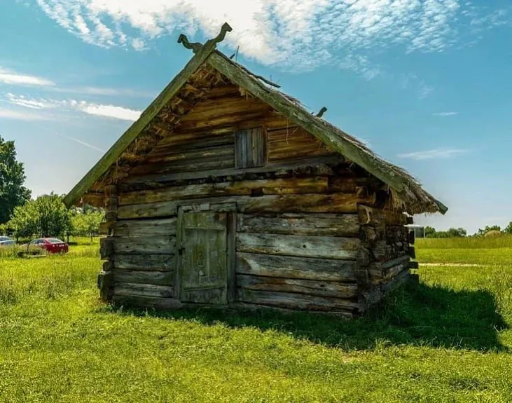 Draŭlianyja žylyja damy Draŭlianyja žylyja damy