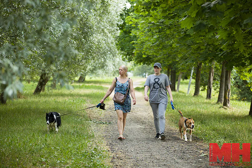 MK4_0030-kopiya.jpg MK4_0030-kopiya.jpg