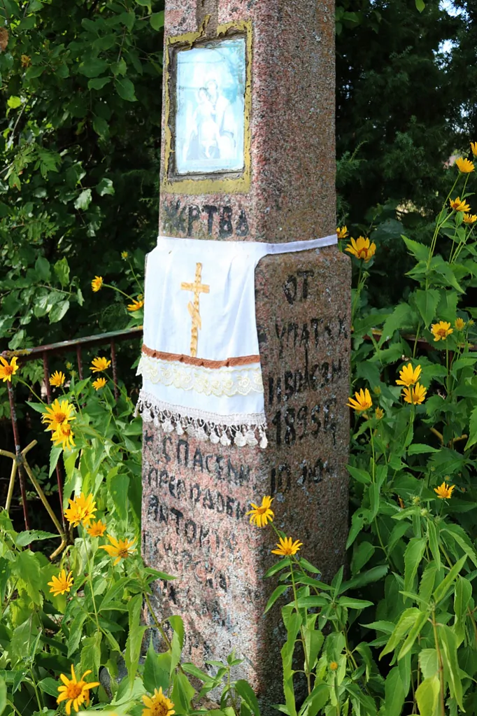 17_2022-08-13_01 Soce_0223.JPG