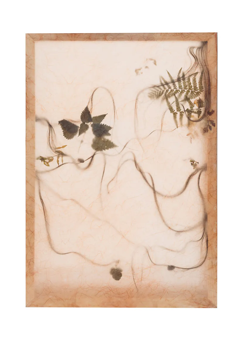 «Horkija ziolki» «Horkija ziolki»