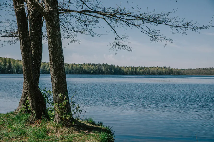 296A1526 copy.jpg 296A1526 copy.jpg