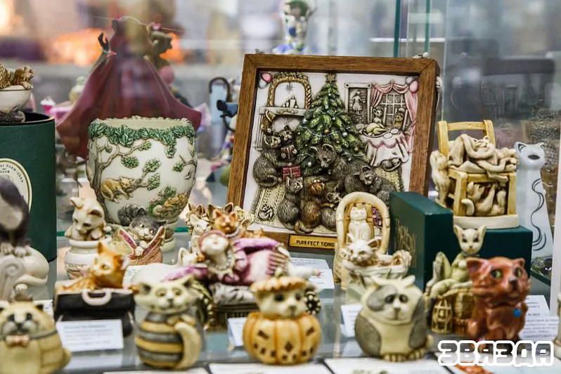 img_7510.jpeg img_7510.jpeg