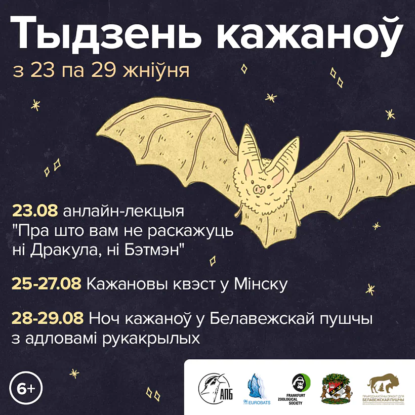 Кажаны-2021 1х1.png Кажаны-2021 1х1.png