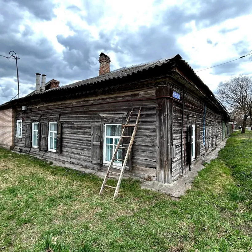 Draŭlianyja žylyja damy Draŭlianyja žylyja damy
