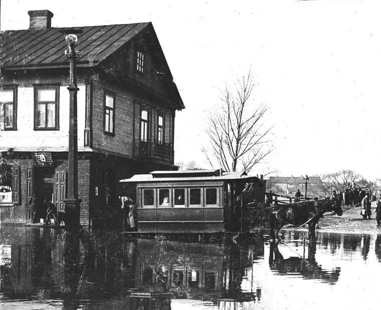 mal_3_konka_1897.jpg mal_3_konka_1897.jpg