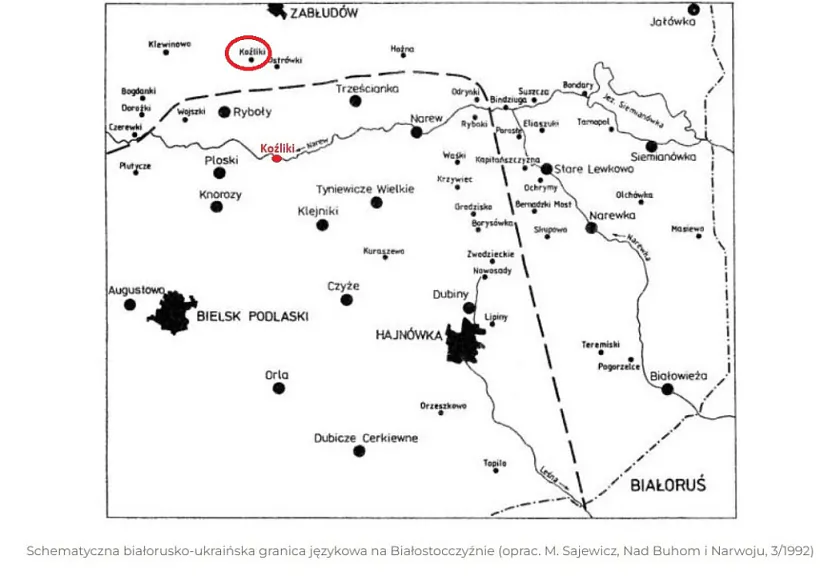 Sajewicz.jpg Sajewicz.jpg