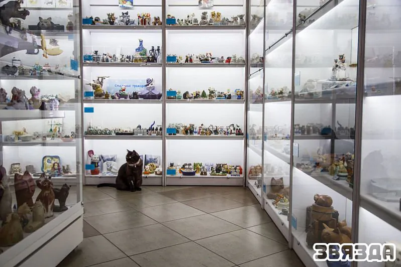 img_7639_0.jpeg img_7639_0.jpeg