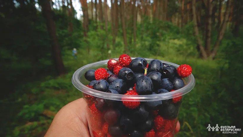 Ягады Ягады