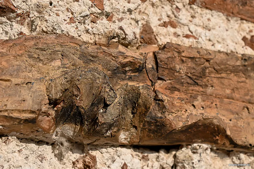 ef2c14aa4cda95197562c8f91a94207c.jpeg ef2c14aa4cda95197562c8f91a94207c.jpeg