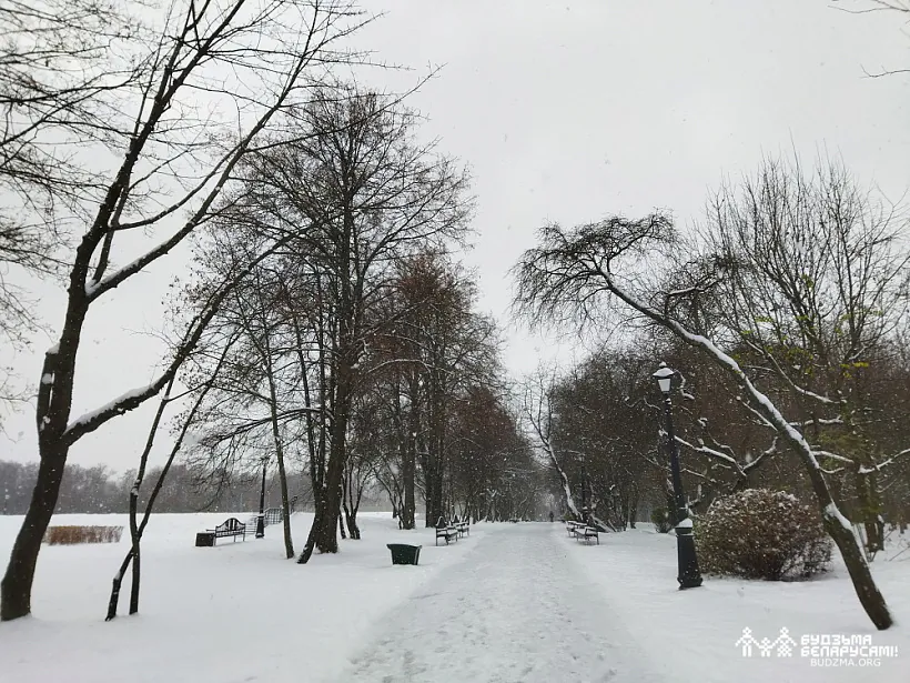 IMG_20221119_162136.jpg IMG_20221119_162136.jpg