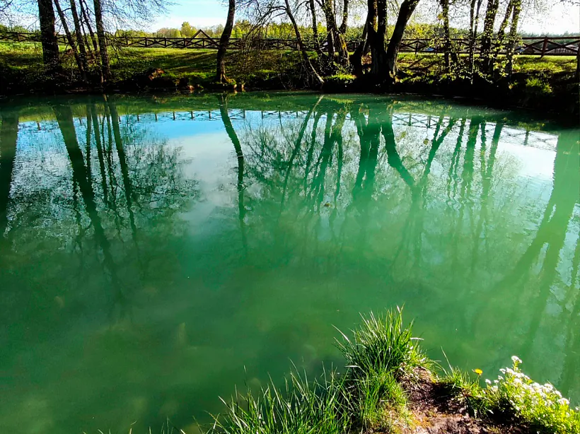 Sini Kalodziež Sini Kalodziež