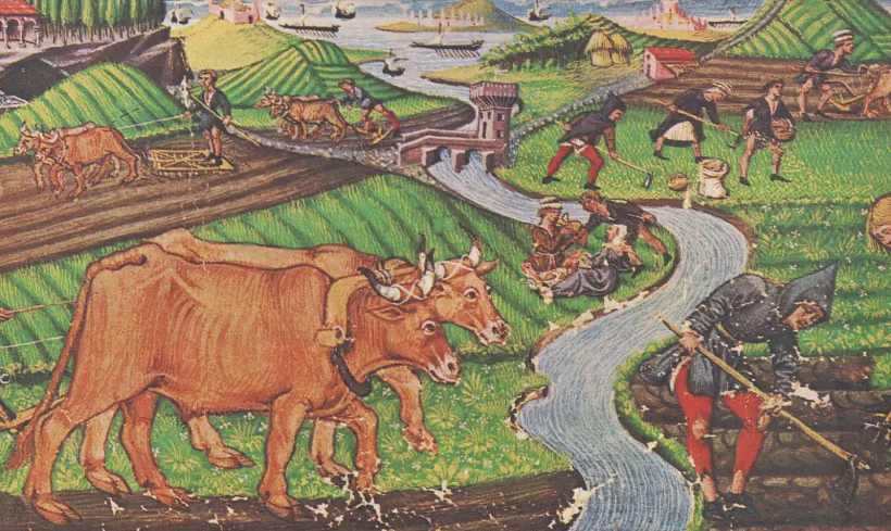 6_sielskaia-haspadarka.jpg 6_sielskaia-haspadarka.jpg