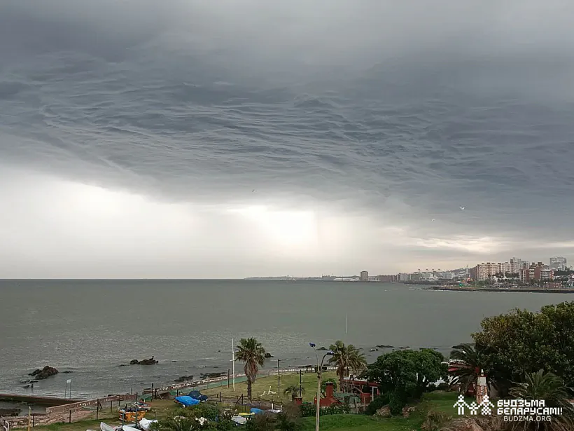 Мантэвідэа