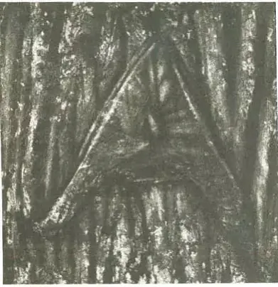 Dubu Mintusu z Homieĺščyny 500 hadoŭ