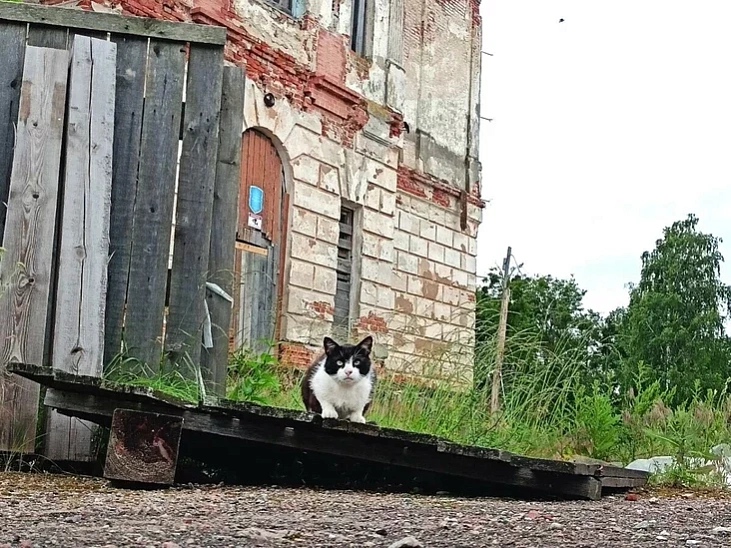Naraŭlianski palac Horvataŭ Naraŭlianski palac Horvataŭ
