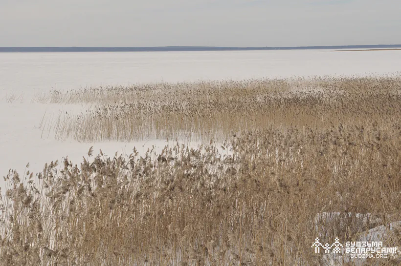 photo (12 of 15).jpg photo (12 of 15).jpg