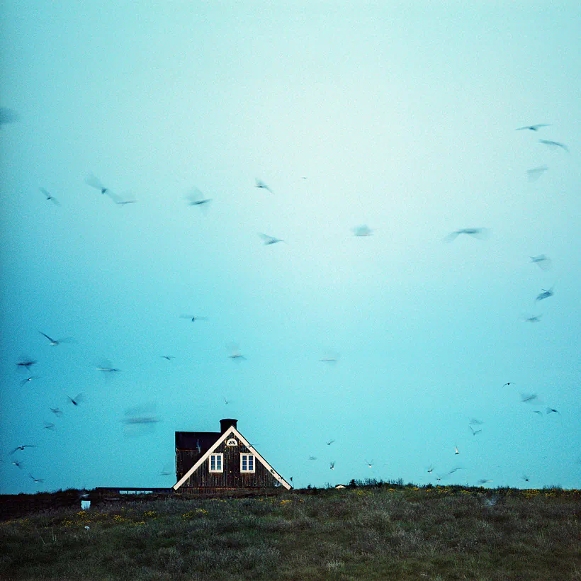 Egor Voinov work  Egor Voinov work