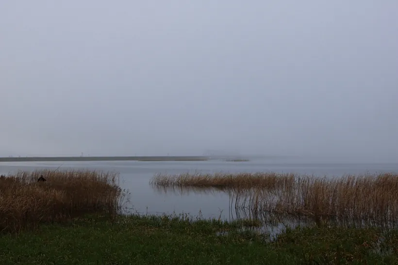 9_2022-11-14 Siemianowka_A.Leshkevich_003.JPG