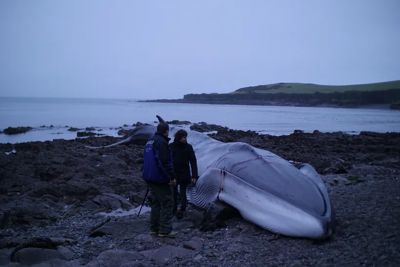 with Robin Petre_Into the Wild Sea.JPG