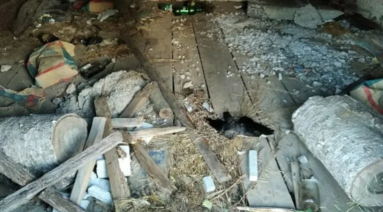 kaplitsa02.jpg