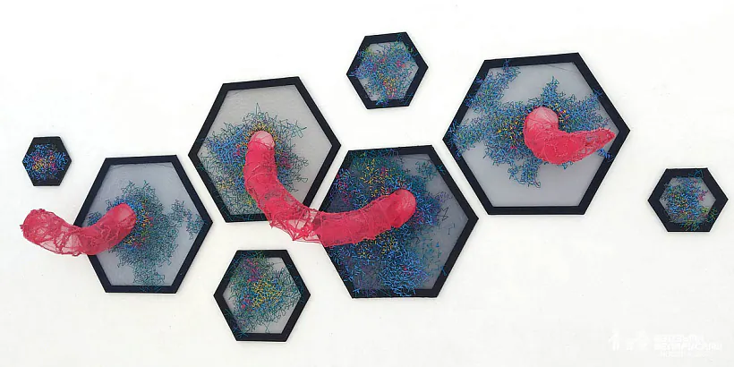 Анастасія Лагуценка, інстраляцыя «Блукаючы па снах» з праекта «Windows & Bridges»